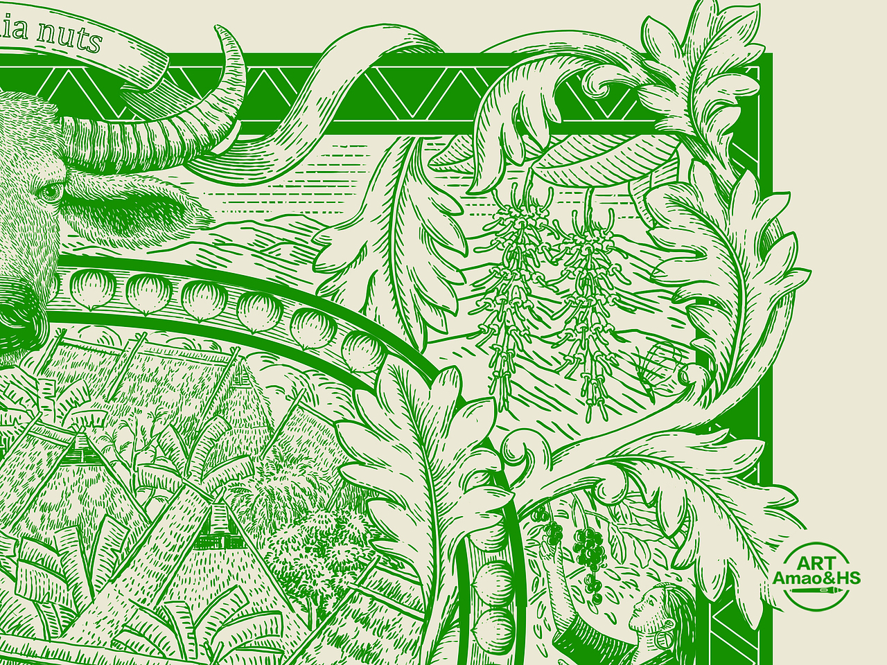 夏威夷坚果 包装插画（图ZMzkwNDQ3NzQw） - 商业插画 - 站酷设计师阿茂和花生原创素材 - 站酷ZCOOL