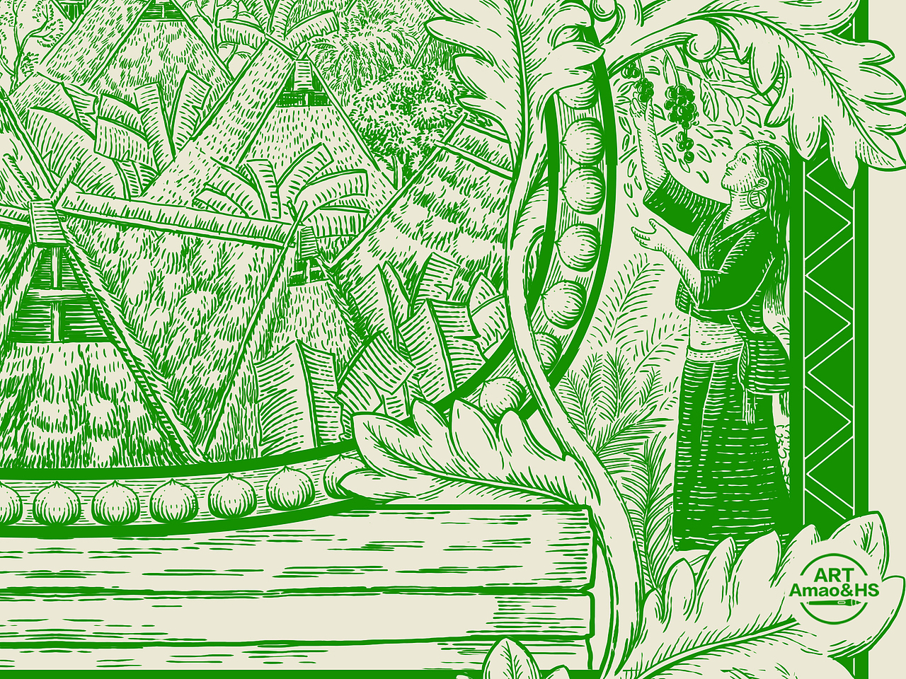 夏威夷坚果 包装插画（图ZMzkwNDQ3NzI0） - 商业插画 - 站酷设计师阿茂和花生原创素材 - 站酷ZCOOL