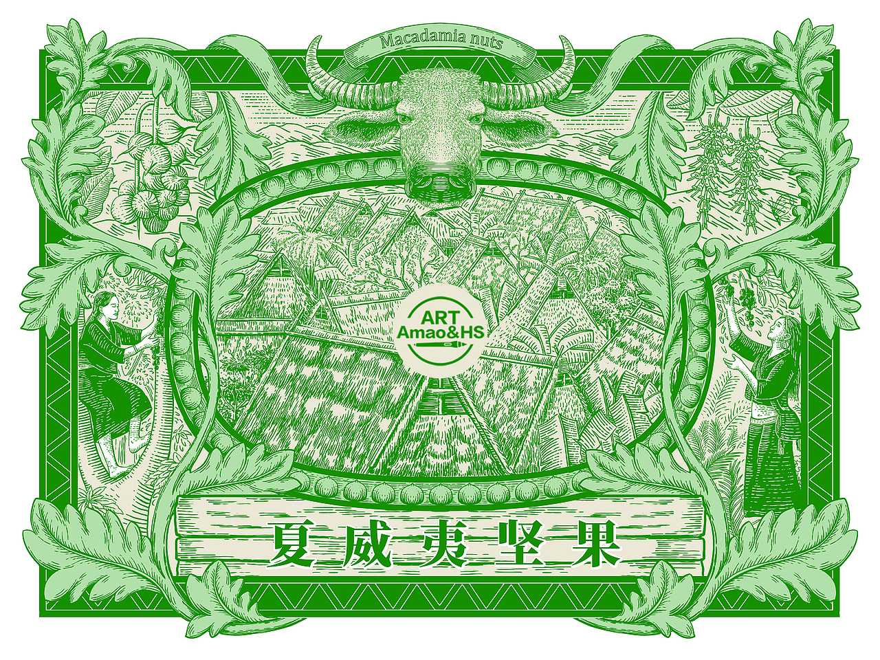 夏威夷坚果 包装插画（图ZMzkwNDQ3NzEy） - 商业插画 - 站酷设计师阿茂和花生原创素材 - 站酷ZCOOL