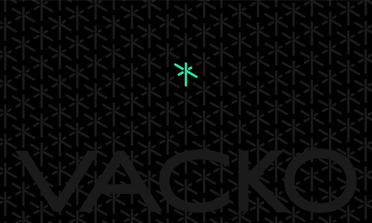 VACKO顽刻 品牌标志设计 运动品牌LOGO