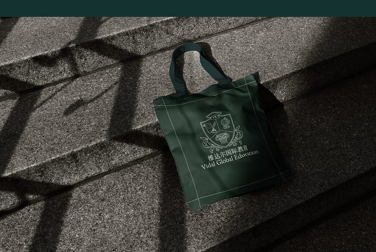 维达尔国际——留学机构品牌设计