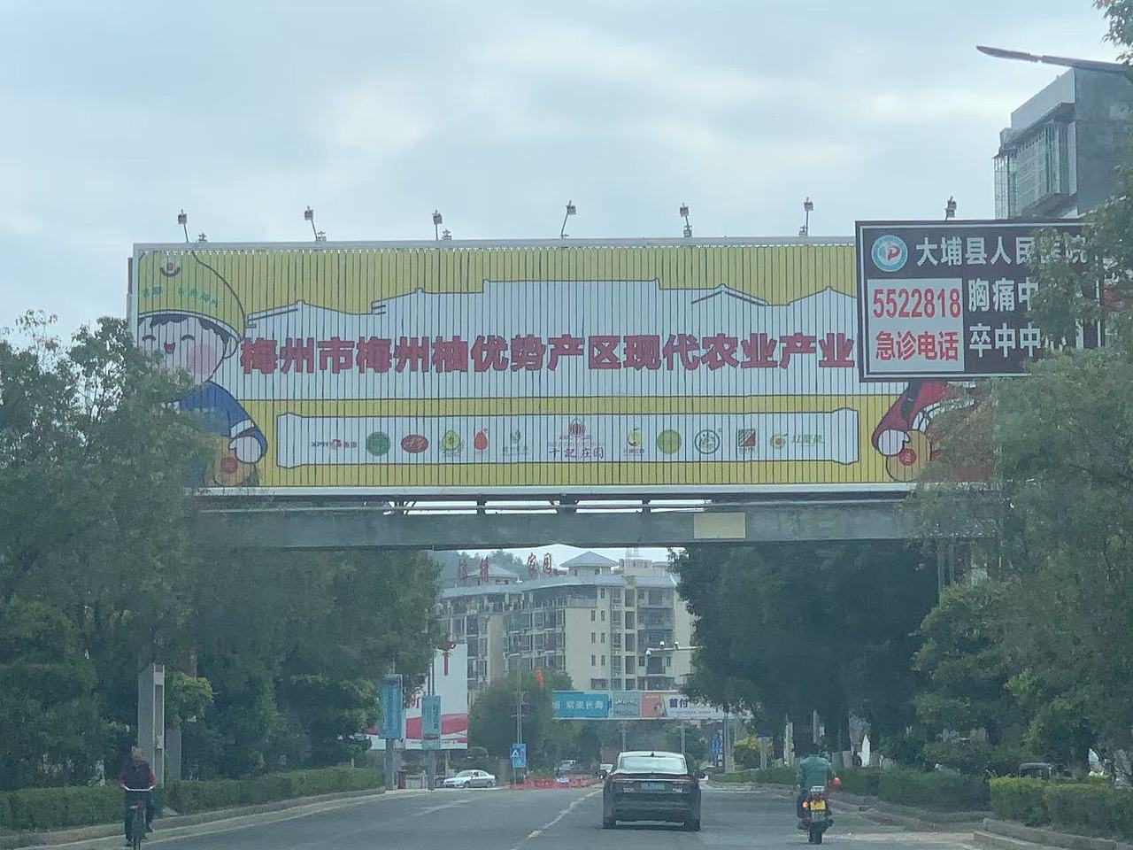 海报设计项目之二,已落地