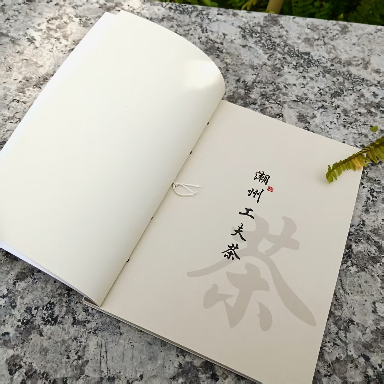 书籍设计（图ZMzkwNTExNTE2） - 书籍/画册 - 站酷设计师好困困困原创素材 - 站酷ZCOOL