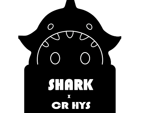 SHARK 记账鲨