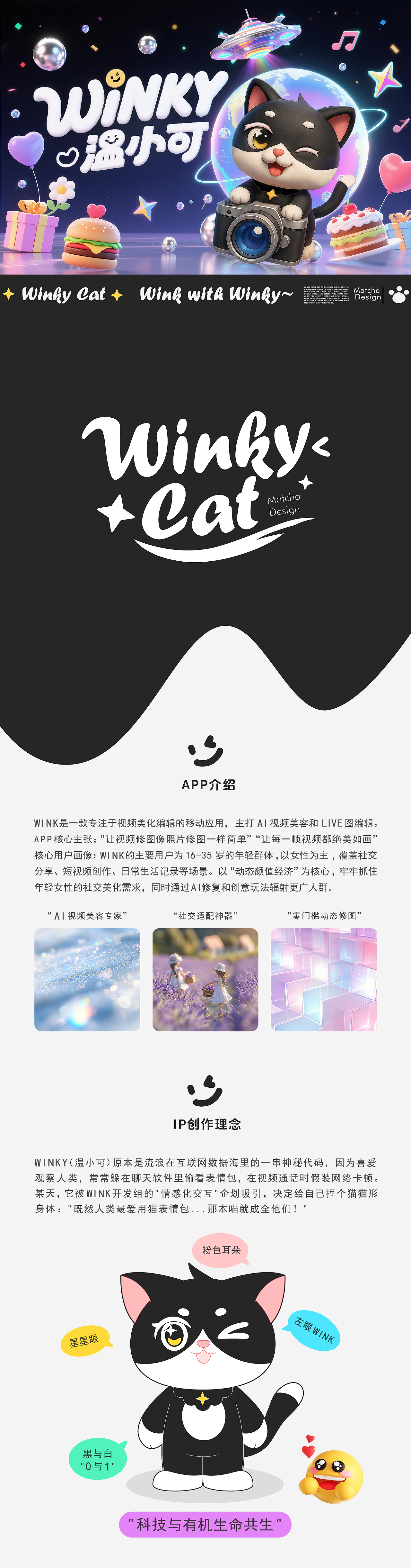 Winky Cat —原创IP形象设计（图ZMzkwNTE1NjA0） - IP形象 - 站酷设计师哇哦0o0原创素材 - 站酷ZCOOL