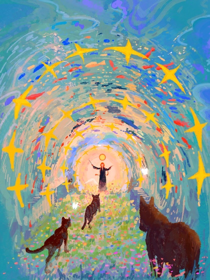 壁纸 [2021 手机/IPAD/电脑]