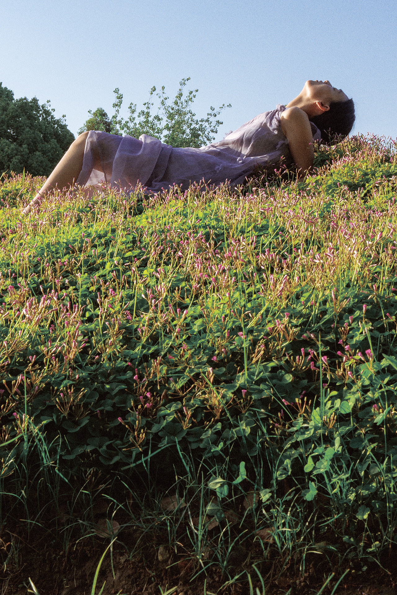 春天是写给自由的散文诗（图ZMzkwNTM1Mzk2） - 人像摄影 - 站酷设计师白山Gavin原创素材 - 站酷ZCOOL