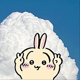 Kikki_的头像