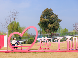 燕子矶新城之初夏