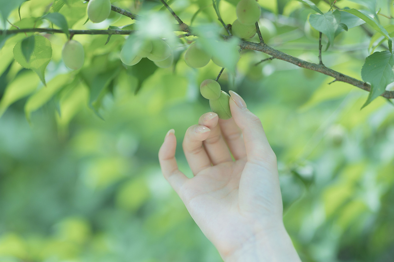 青梅酒（图ZMzkwNTcwMTgw） - 人像摄影 - 站酷设计师若寒Rock原创素材 - 站酷ZCOOL