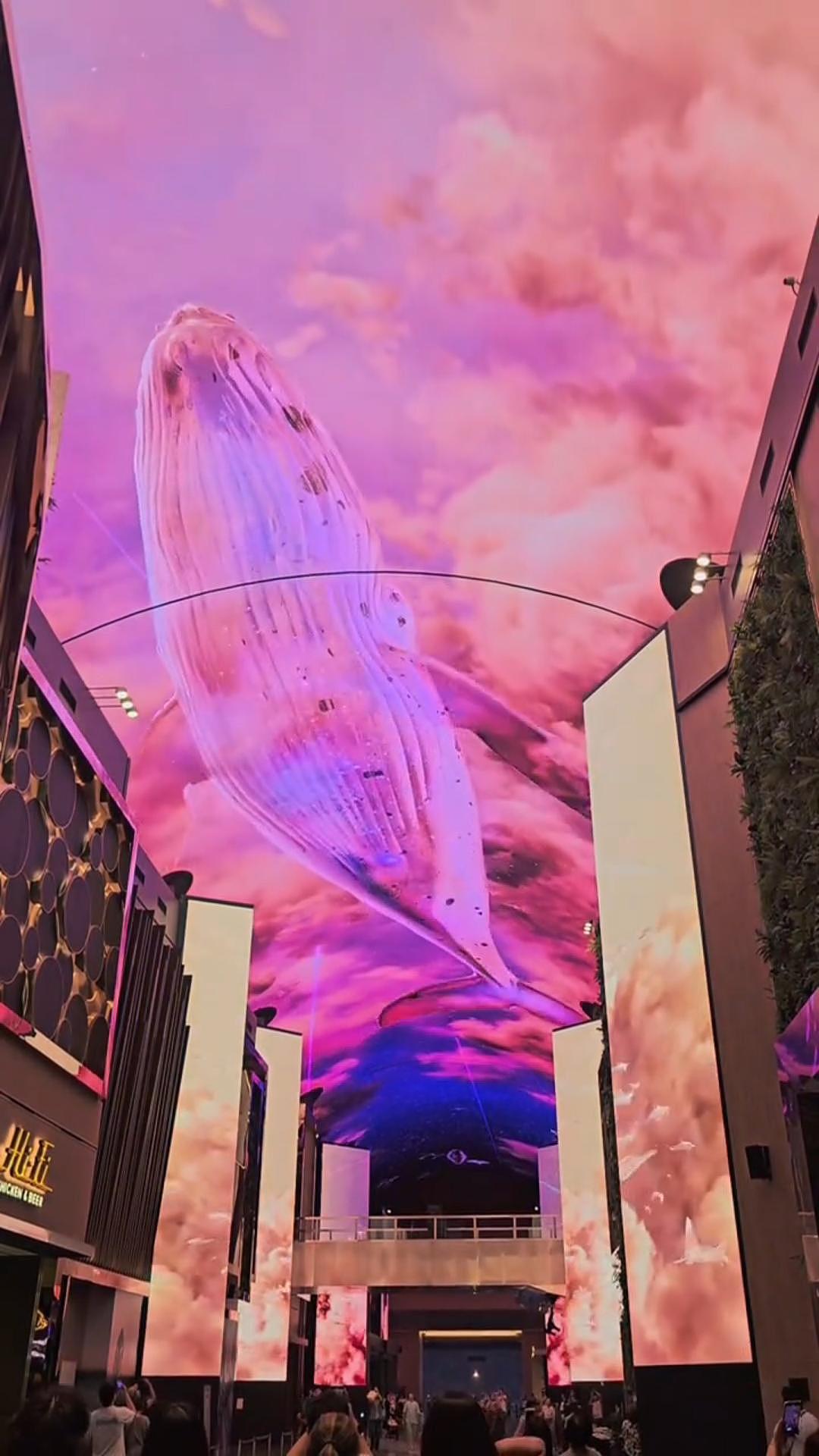 商场天幕LED屏天花板LED显示屏吊顶LED屏幕【联诚发】（图ZMzkwNTg0NDA0） - 其他 - 站酷设计师联诚发原创素材 - 站酷ZCOOL