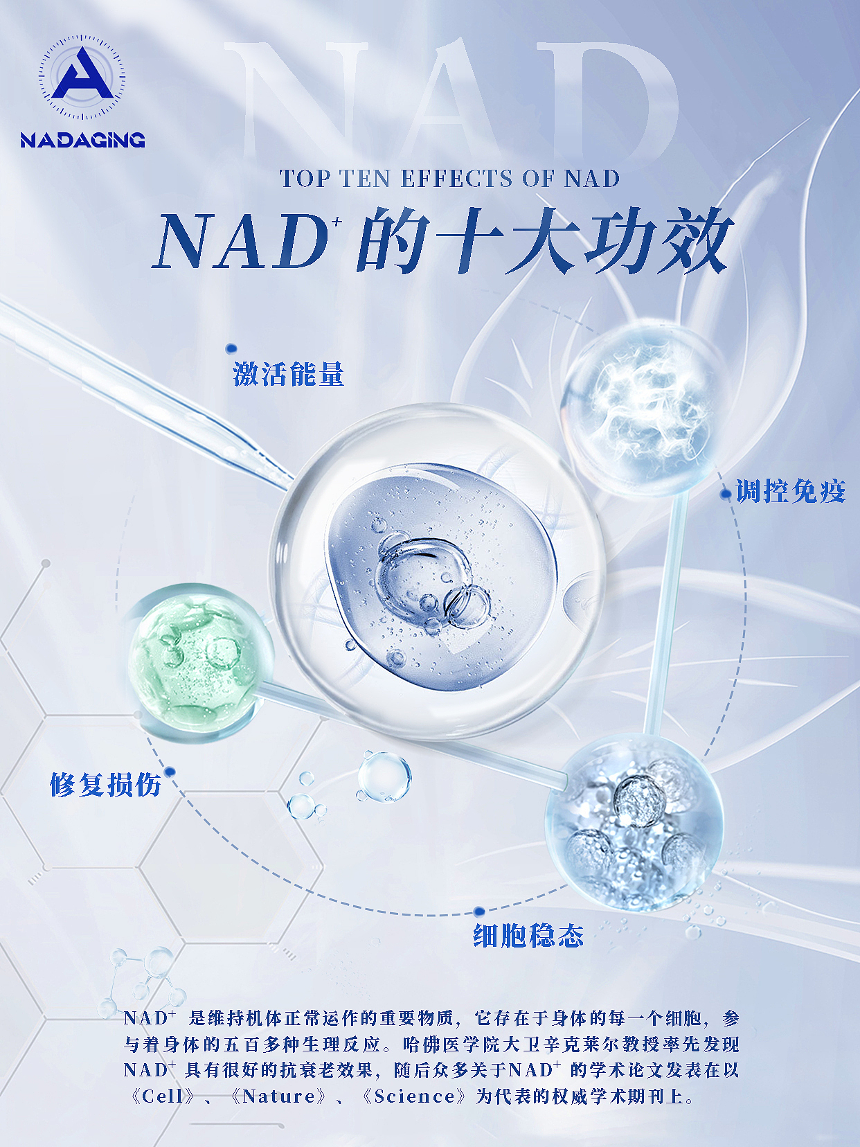 海报定制设计15345153820（图ZMzkwNTkzMzY4） - 海报 - 站酷设计师橘鹿品牌全案设计原创素材 - 站酷ZCOOL