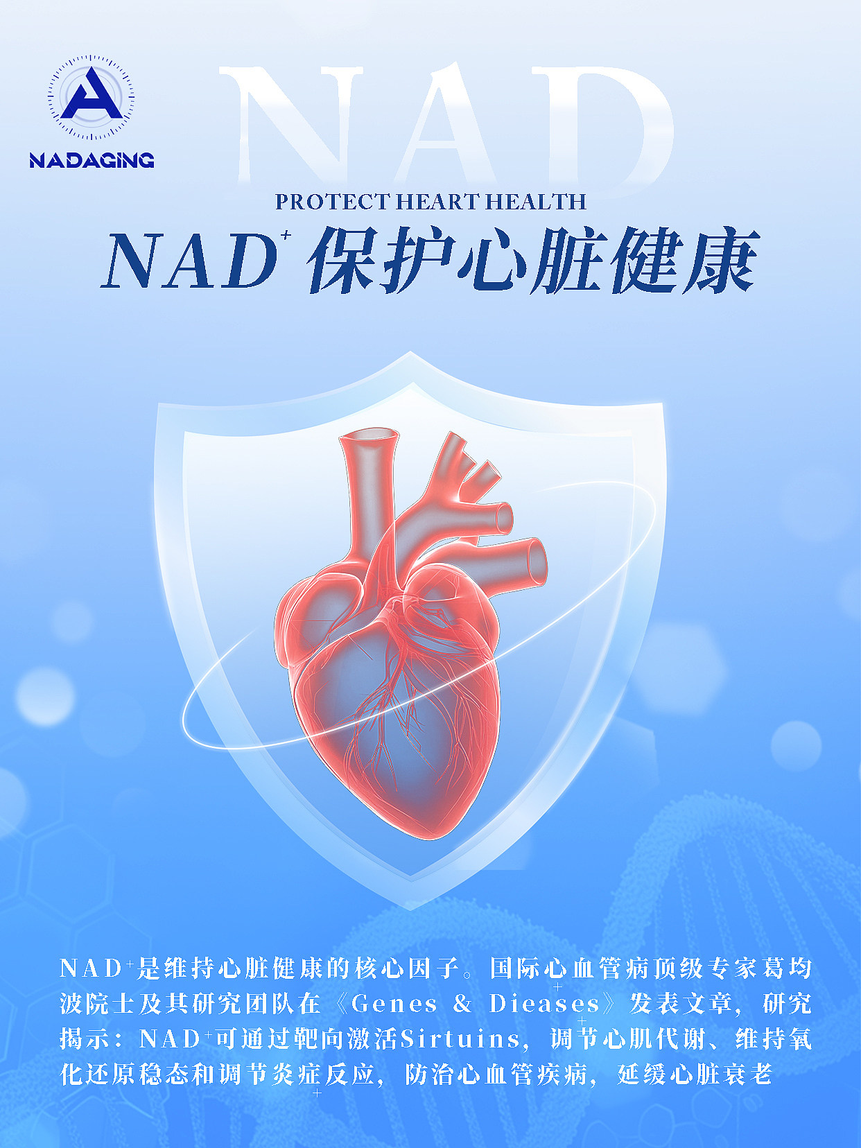 海报定制设计15345153820（图ZMzkwNTkzMzY0） - 海报 - 站酷设计师橘鹿品牌全案设计原创素材 - 站酷ZCOOL