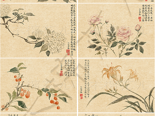 水墨花卉丨《春花图八开》