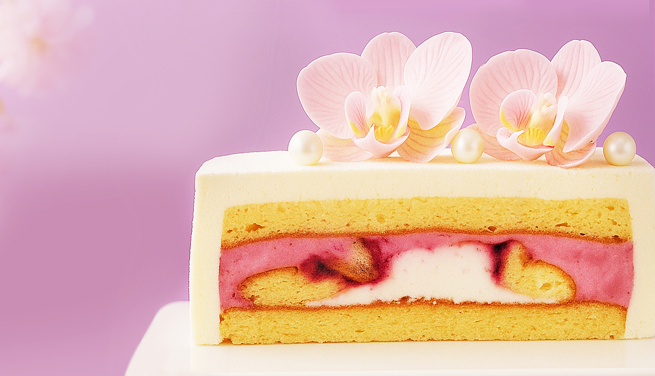 美食摄影 | 花朵蛋糕甜品拍摄