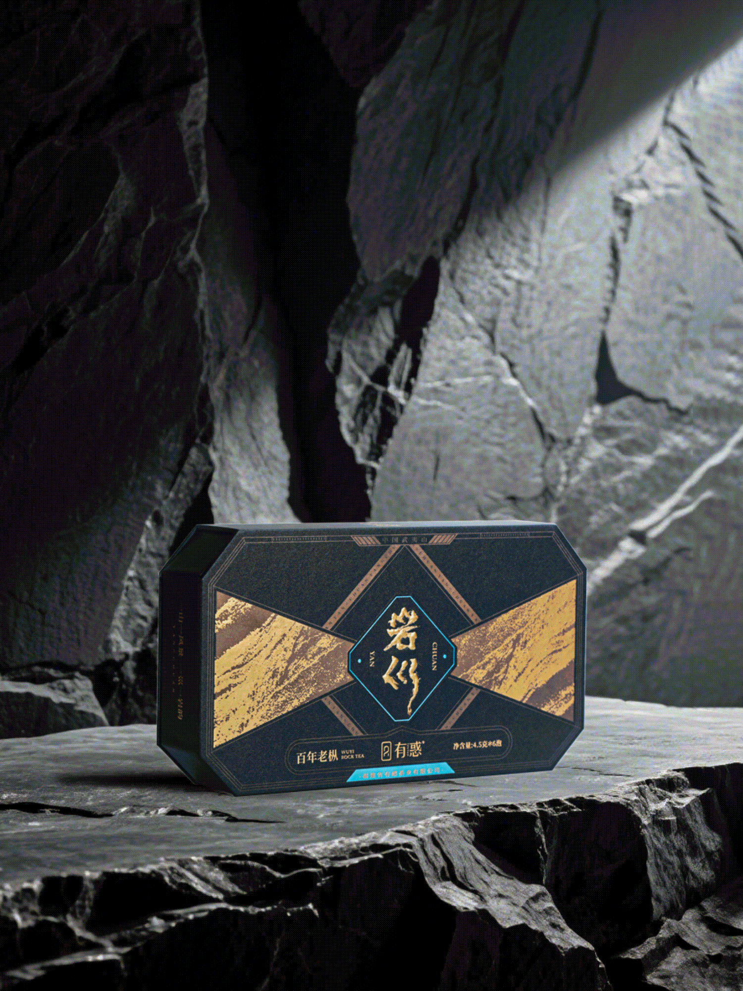 有惑茶业 x 潘艺夫丨岩巛系列
