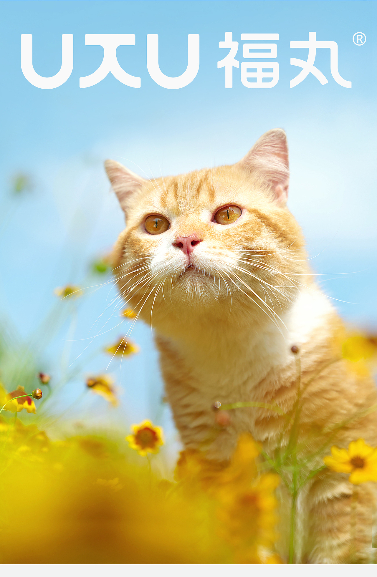 汤臣杰逊 X 福丸-自然空气猫砂