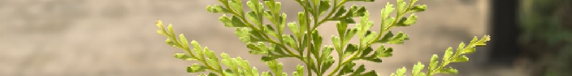 星绘画梦的个人主页（封面预览） - 主页封面设置 - 站酷设计师星绘画梦原创素材 - 站酷ZCOOL