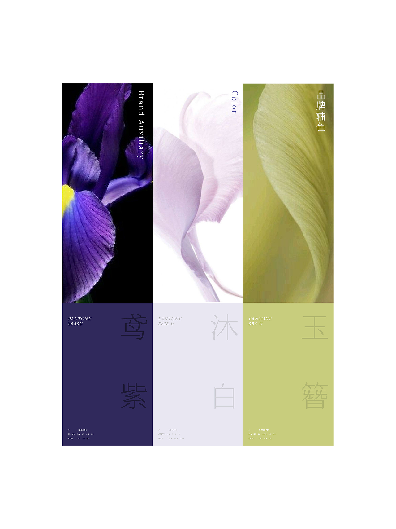 UP-植予品牌全案设计 护肤品包装设计 LOGO设计 VI设计