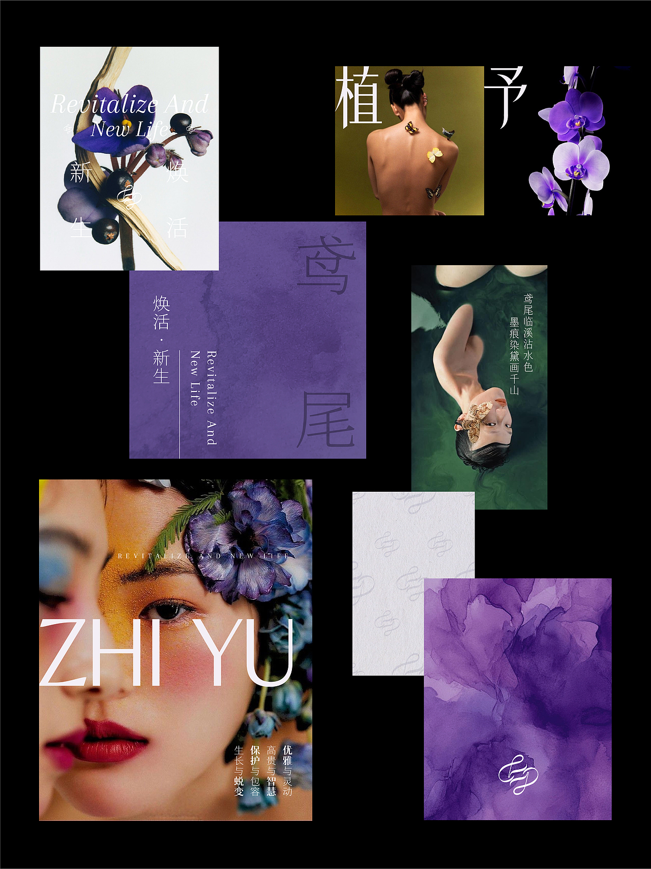UP-植予品牌全案设计 护肤品包装设计 LOGO设计 VI设计