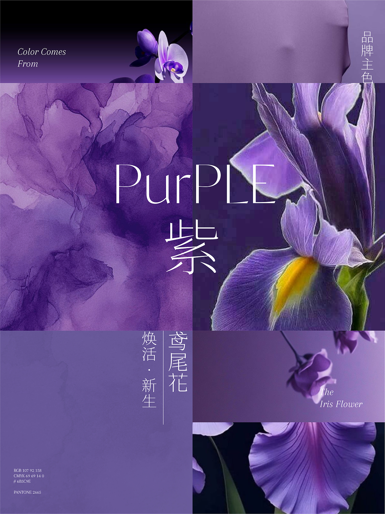 UP-植予品牌全案设计 护肤品包装设计 LOGO设计 VI设计
