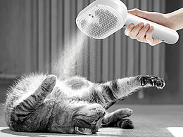 20250518 亚马逊产品主副图类