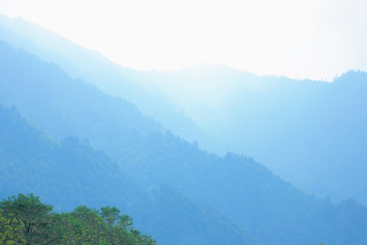 马里冷旧 · 梦中的草原森林