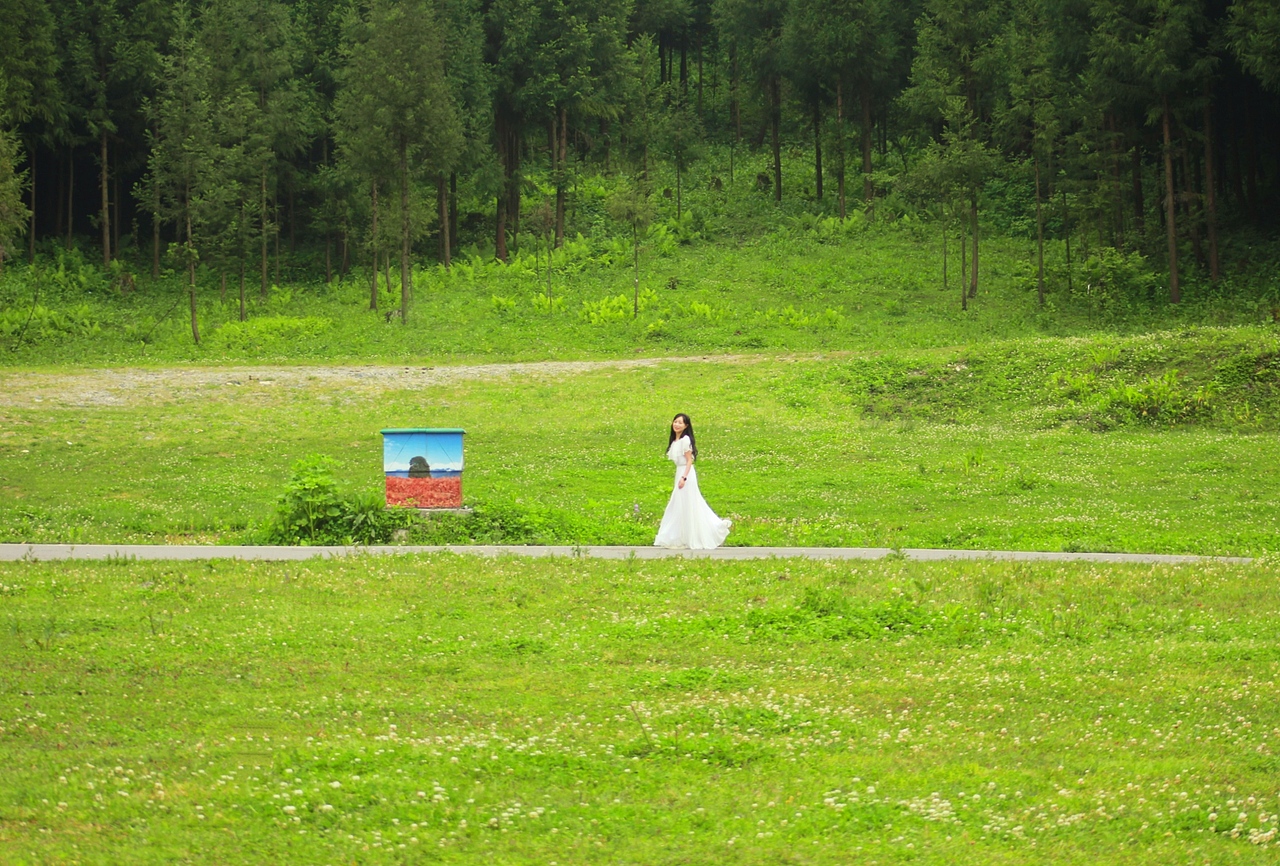 马里冷旧 · 梦中的草原森林