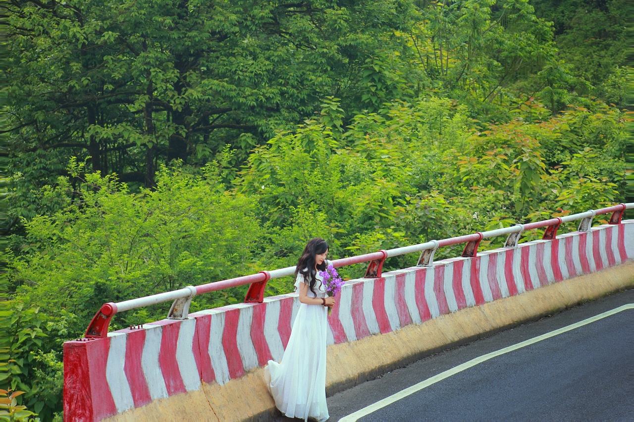 马里冷旧 · 梦中的草原森林