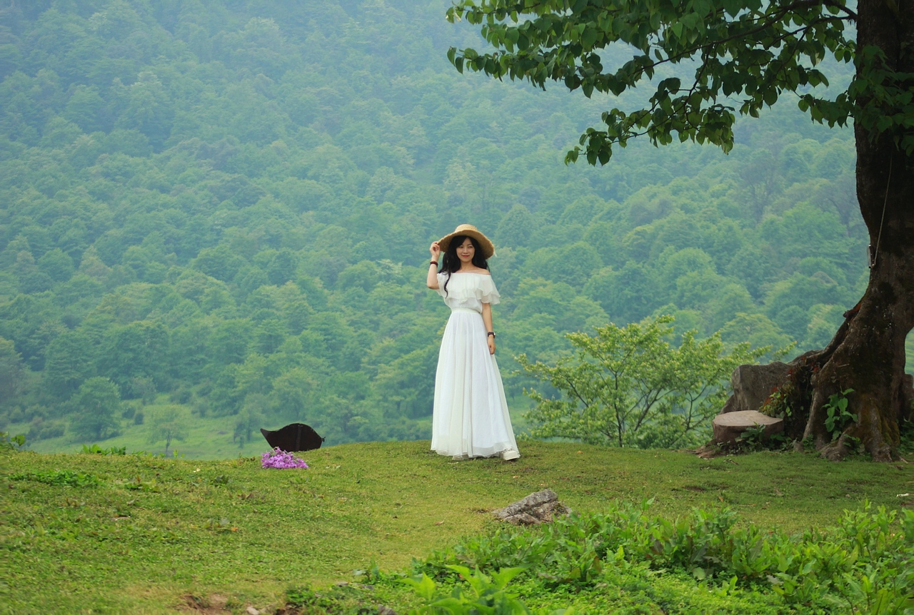 马里冷旧 · 梦中的草原森林