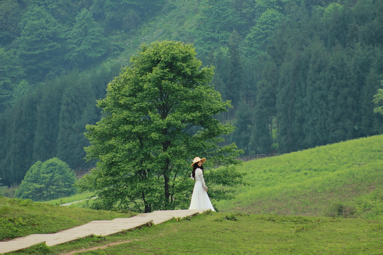 马里冷旧 · 梦中的草原森林