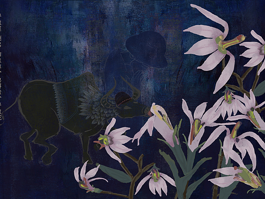 識花辨藥-系列（個人主頁-ZNzE5MjczMTI=） - 藝術(shù)插畫 - 站酷設(shè)計師書慧sutra醫(yī)圖原創(chuàng)素材 - 站酷ZCOOL