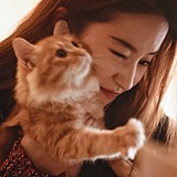 月亮狗品牌设计的头像