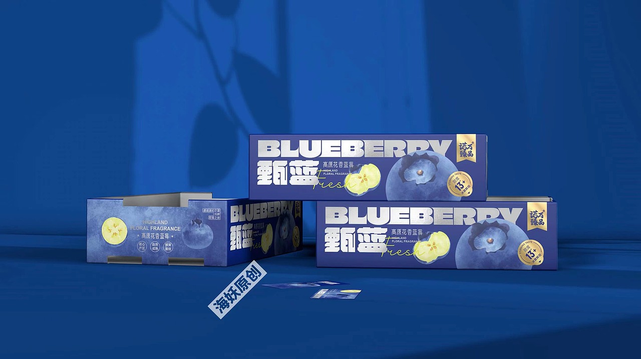 {原创}蓝莓🫐礼盒扁平风格包装设计