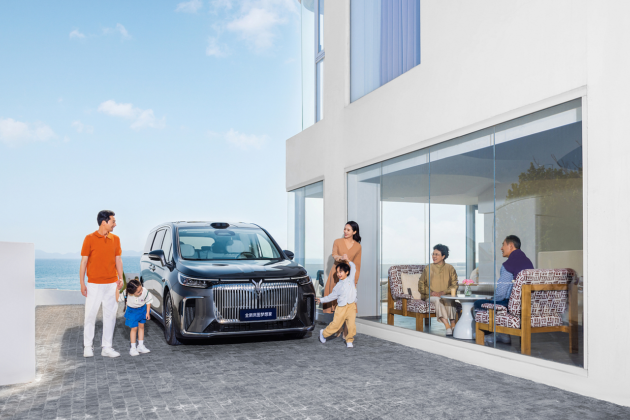 岚图梦想家-海边