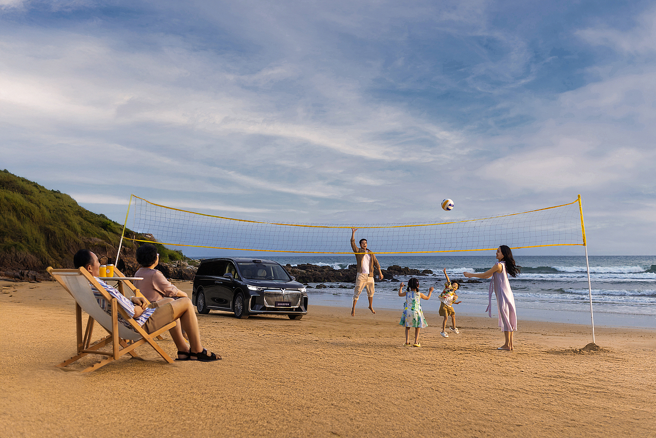 岚图梦想家-海边