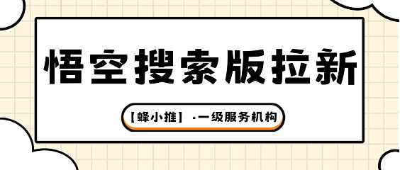 悟空搜索版推广指南:如何制作高转化率视频