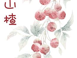 水彩山楂圖