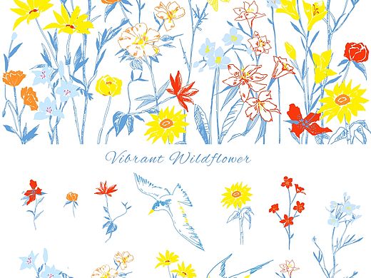 野花意蕴｜花鸟素材