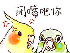 一些小鸟包浆表情包~
