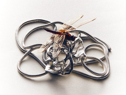 产品摄影·饰品