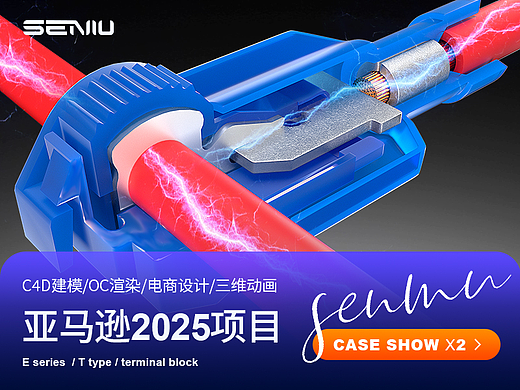 2025亚马逊项目「E系T型接插端子」