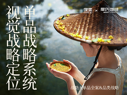 像素✖摩氏 品牌咨询 品类定位 单品战略 视觉全案 