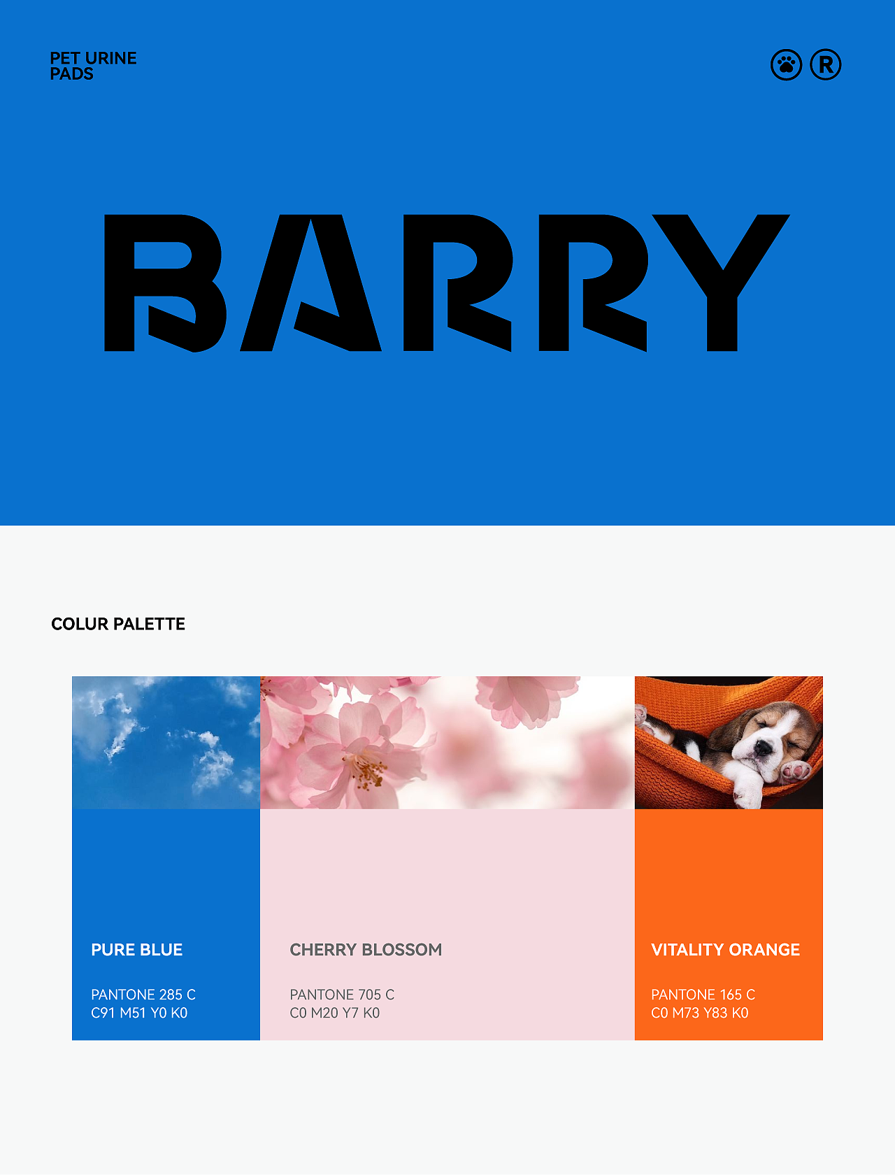 雅能创意×巴瑞 | 宠物训导尿垫，让定点不再是难点！（图ZMzkwODExMjIw） - 包装 - 站酷设计师ENC雅能创意原创素材 - 站酷ZCOOL