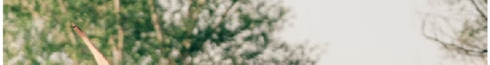 早睡早起_desi的个人主页（封面预览） - 主页封面设置 - 站酷设计师早睡早起_desi原创素材 - 站酷ZCOOL