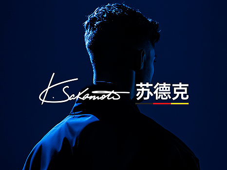 手写LOGO设计 | 苏德克五金品牌全案