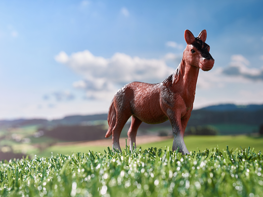 玩具潮玩仿真动物