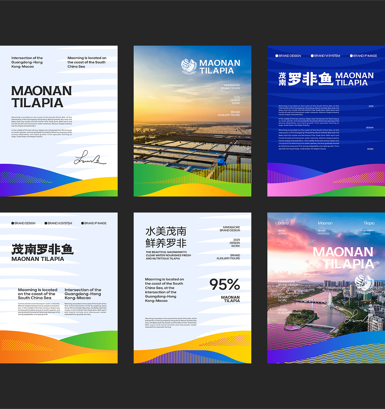 「茂南罗非鱼」区域化公用品牌战略全案 | 妙与妙（图ZMzkwODQxMDQ4） - 品牌 - 站酷设计师妙与妙品牌顾问原创素材 - 站酷ZCOOL