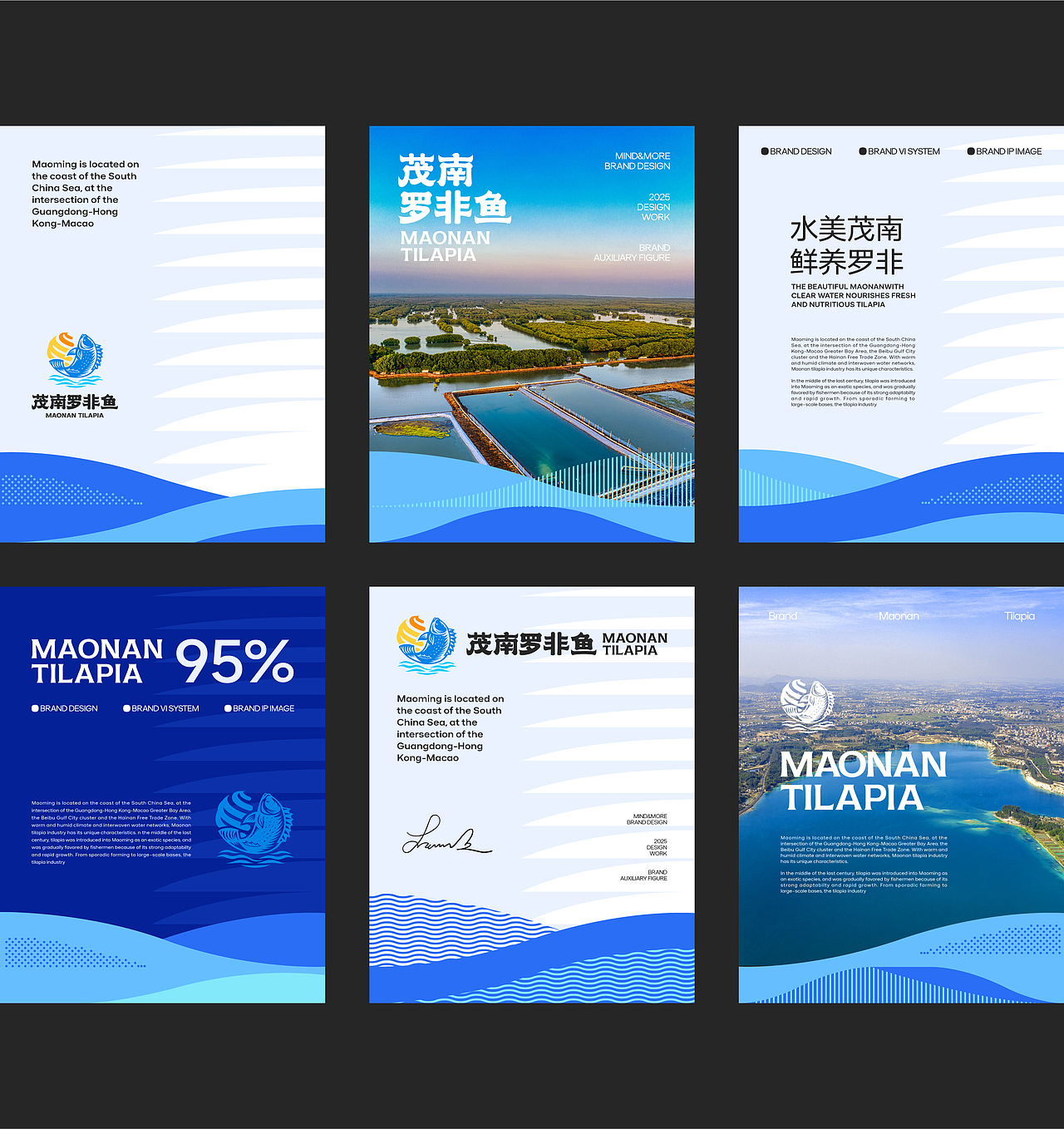 「茂南罗非鱼」区域化公用品牌战略全案 | 妙与妙（图ZMzkwODQxMDQ0） - 品牌 - 站酷设计师妙与妙品牌顾问原创素材 - 站酷ZCOOL