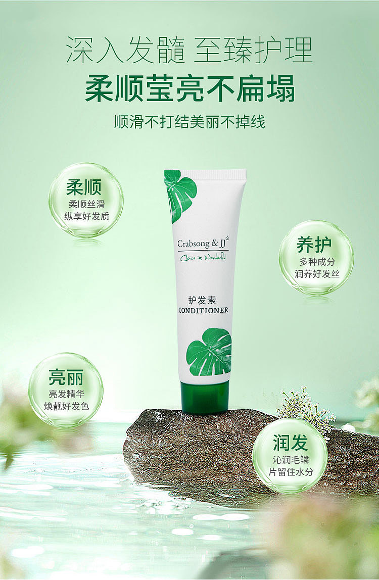 龟叶草本